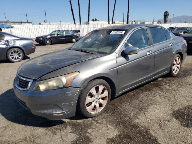 HONDA ACCORD EXL 2010 gray sedan 4d gas 1HGCP3F84AA016710 photo #1