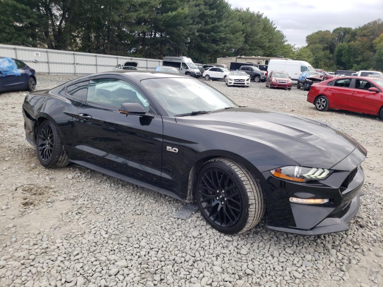 Lot #2945595091 2019 FORD MUSTANG GT