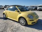 VOLKSWAGEN NEW BEETLE photo