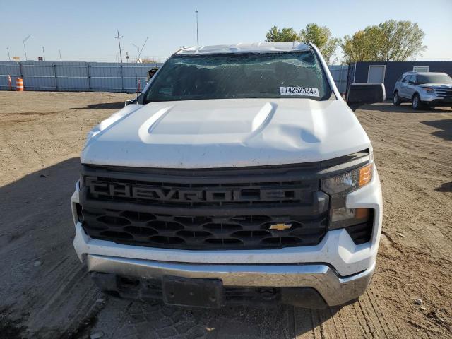 2023 CHEVROLET SILVERADO - 1GCRDAEK0PZ178010