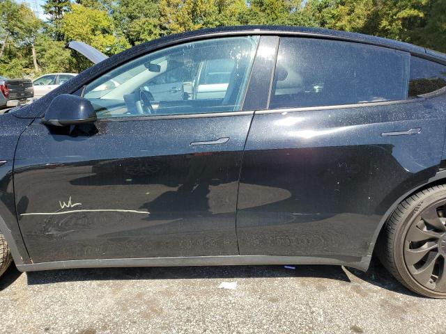 2023 TESLA MODEL Y - 7SAYGDEF4PF854006