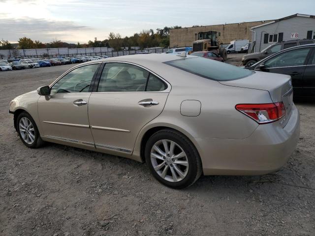 LEXUS ES 350 2010 gold  gas JTHBK1EGXA2411778 photo #3