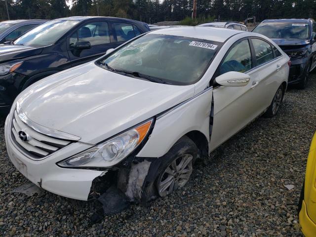 VIN 5NPEB4AC5EH875407 2014 Hyundai Sonata, Gls no.1