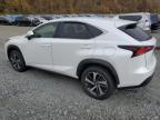 Lot #3024155833 2020 LEXUS NX 300