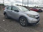 HONDA CR-V LX photo