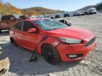 Lot #3024651572 2016 FORD FOCUS SE