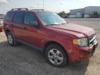 FORD ESCAPE XLT снимка