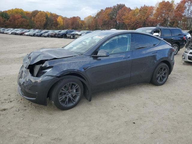 2024 TESLA MODEL Y - 7SAYGDEE5RA323291