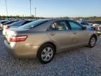 Lot #3006676465 2009 TOYOTA CAMRY BASE