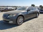 LEXUS LS 460 photo