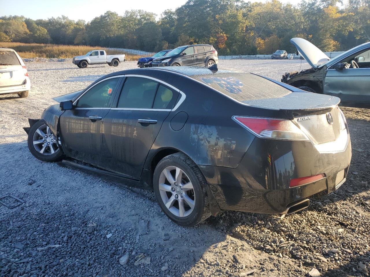 Lot #3019579751 2010 ACURA TL