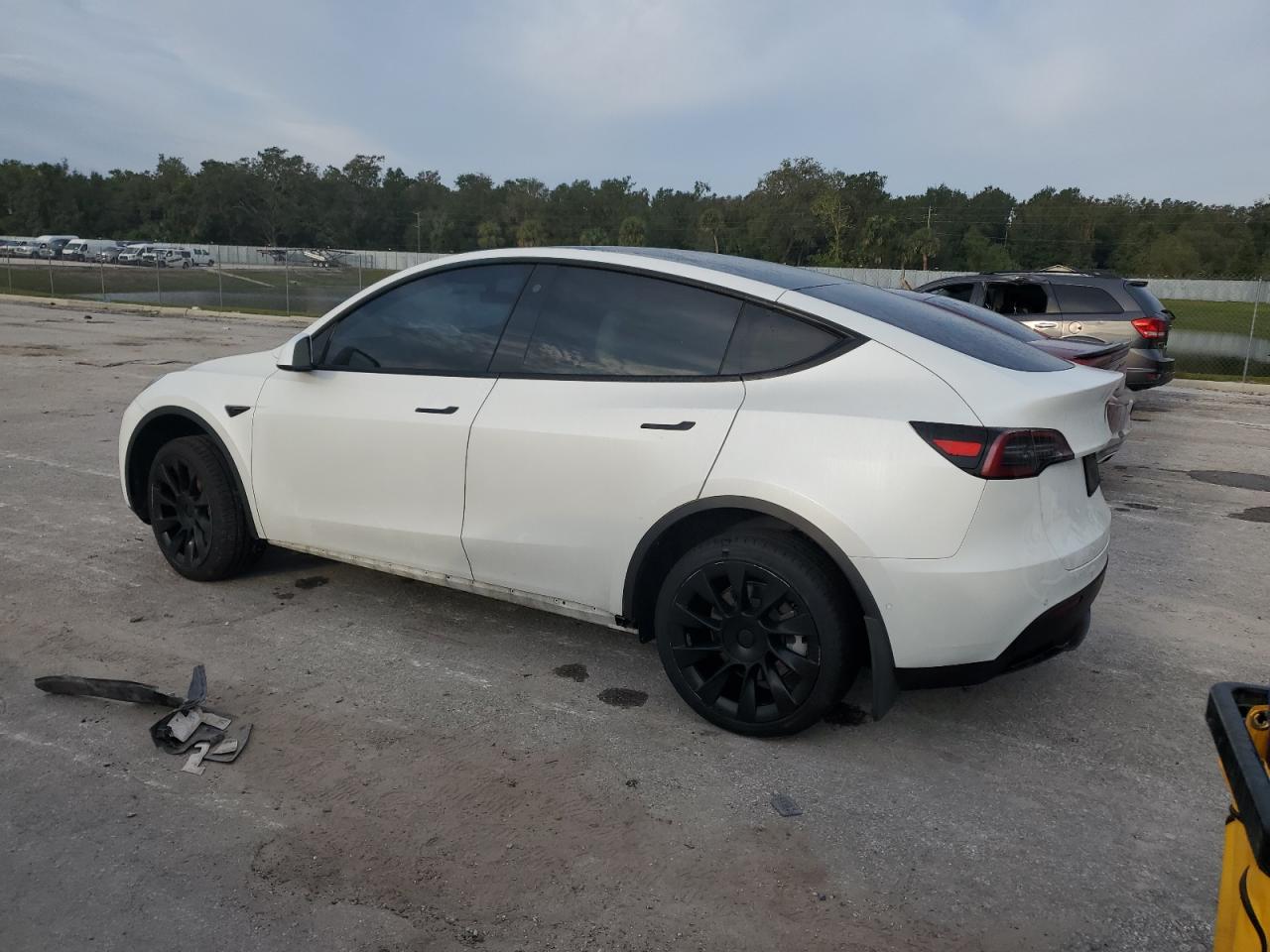 Lot #2962593806 2021 TESLA MODEL Y