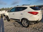 Lot #3024349552 2012 HYUNDAI TUCSON GLS