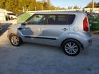 KIA SOUL + photo