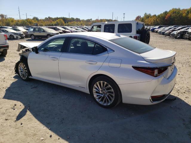 LEXUS ES 300H LU 2020 white  hybrid engine 58AE21B19LU004836 photo #3