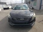 HYUNDAI SONATA SPO photo