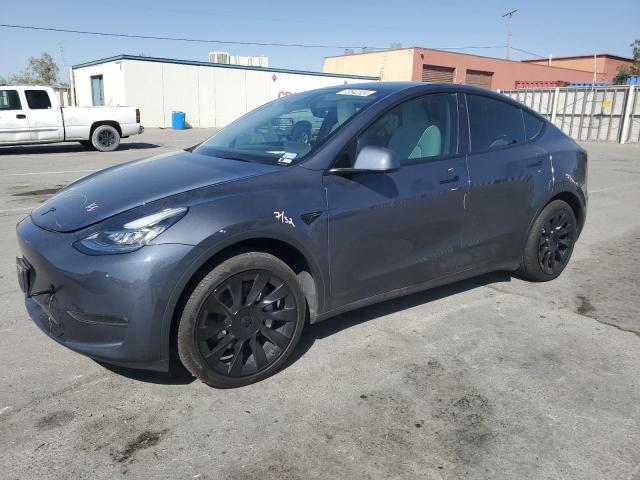 2023 TESLA MODEL Y #3023931263