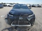 LEXUS UX 250H BA photo