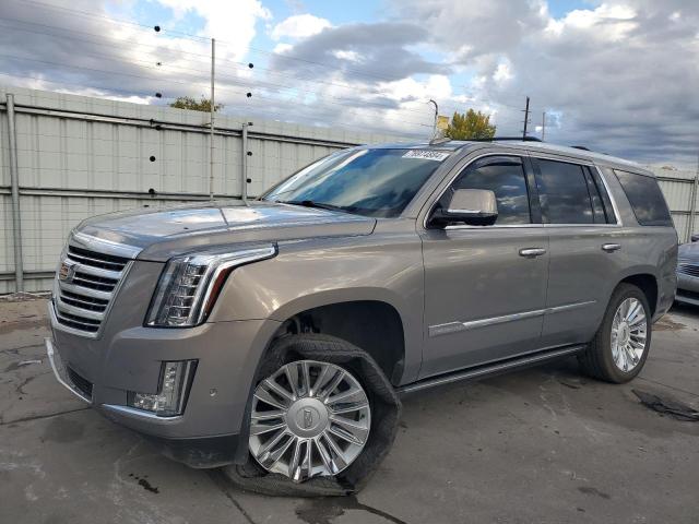 2017 CADILLAC ESCALADE P - 1GYS4DKJ4HR234931