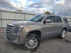 2017 CADILLAC ESCALADE P - 1GYS4DKJ4HR234931