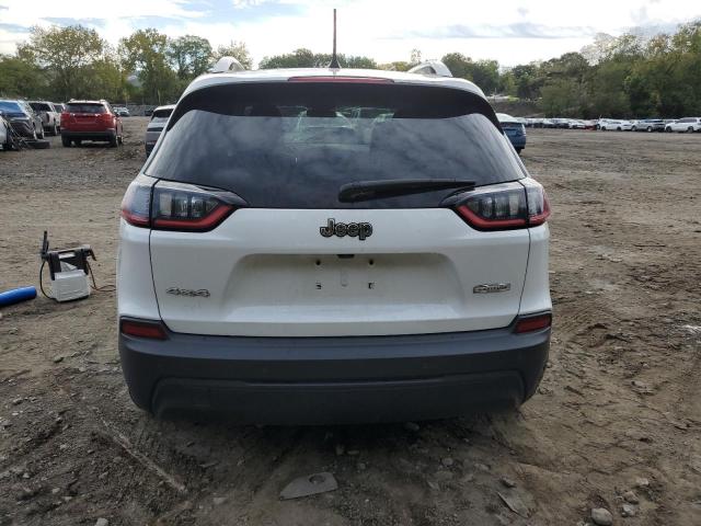 2019 JEEP CHEROKEE L - 1C4PJMLB6KD350602