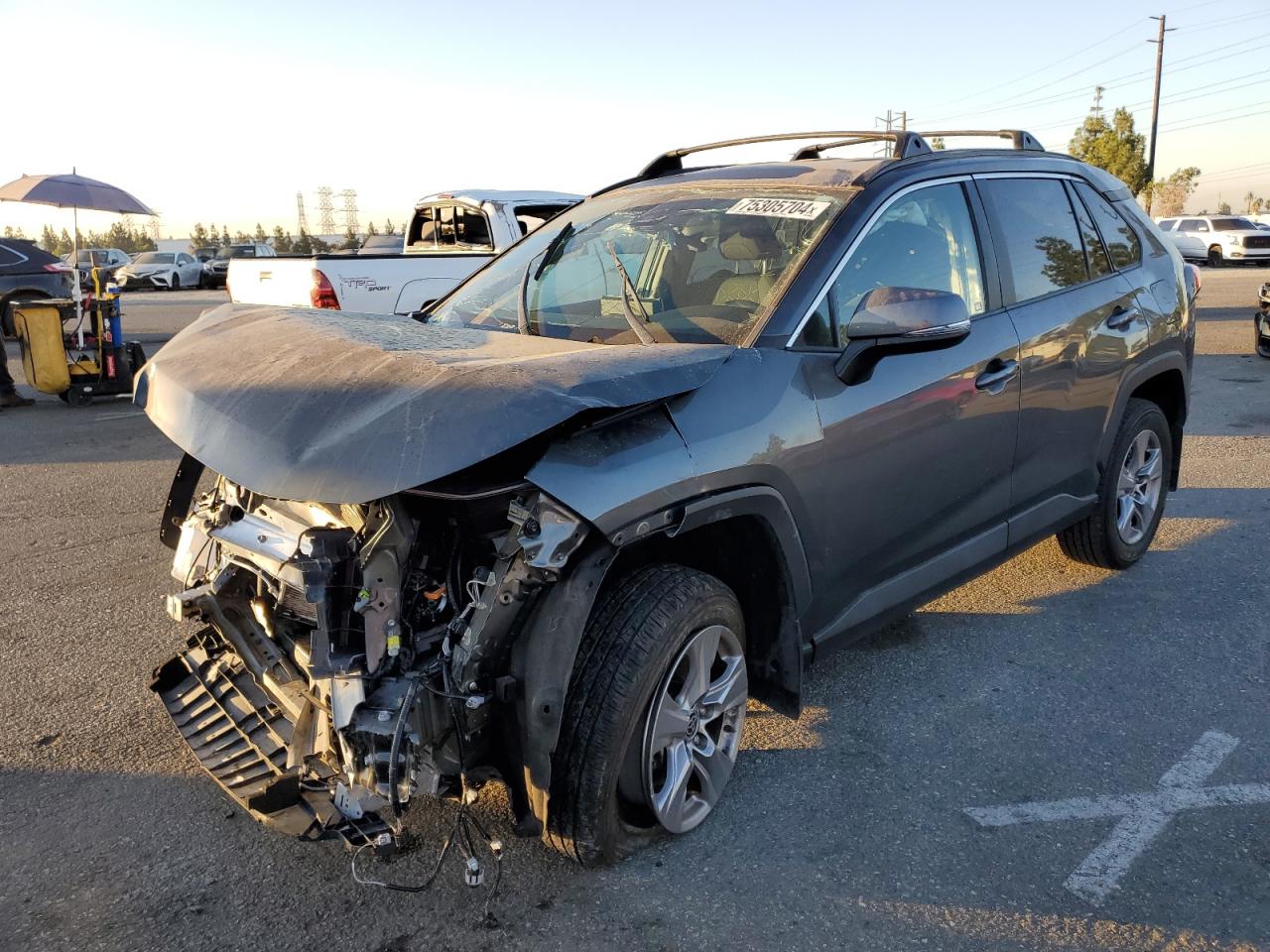 Lot #2986371168 2023 TOYOTA RAV4 XLE