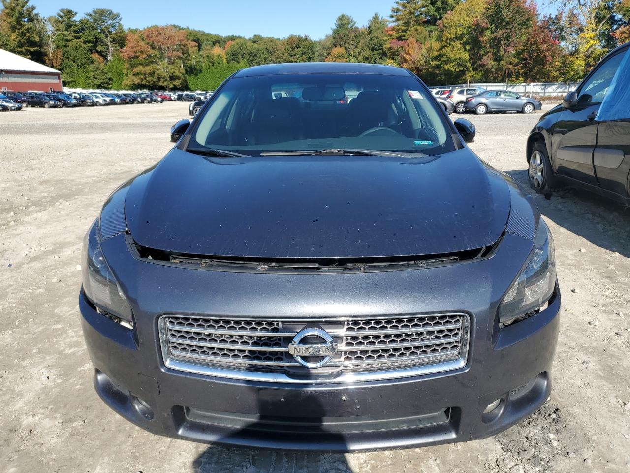 Lot #2935877997 2011 NISSAN MAXIMA S