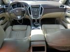 CADILLAC SRX LUXURY photo