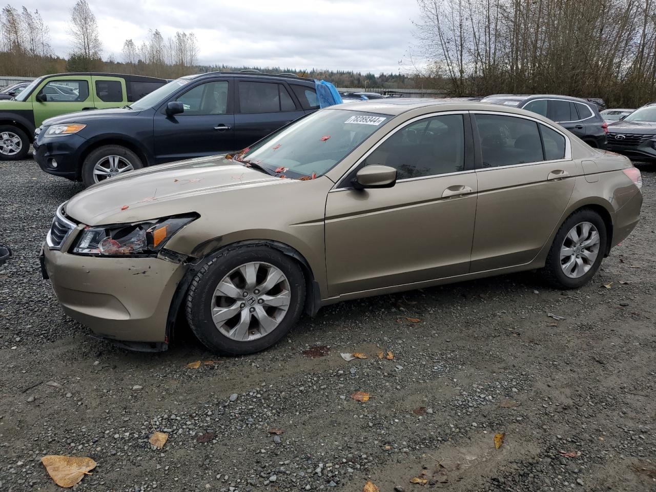 Lot #2935683911 2008 HONDA ACCORD EX