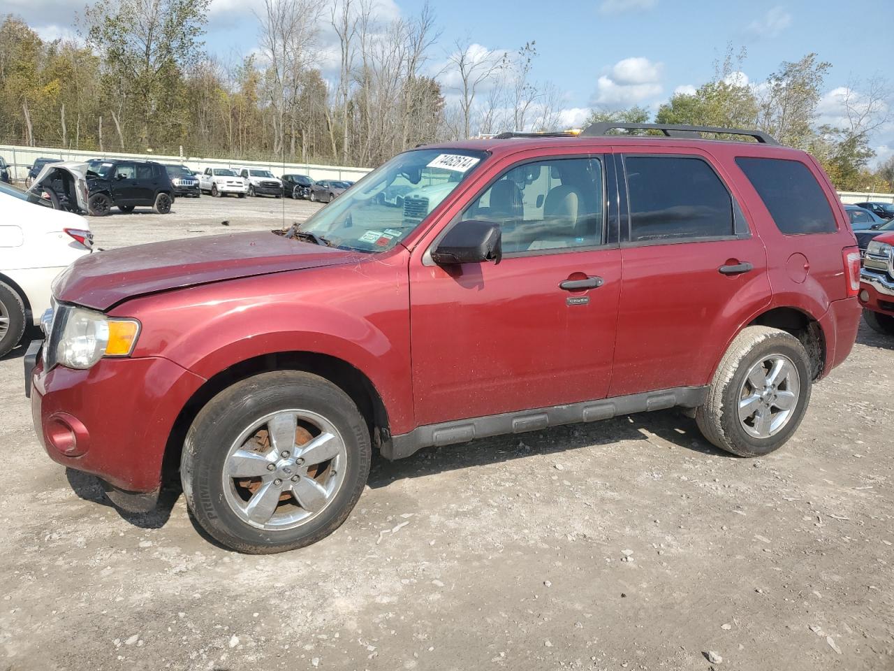 Lot #2962273006 2012 FORD ESCAPE XLT