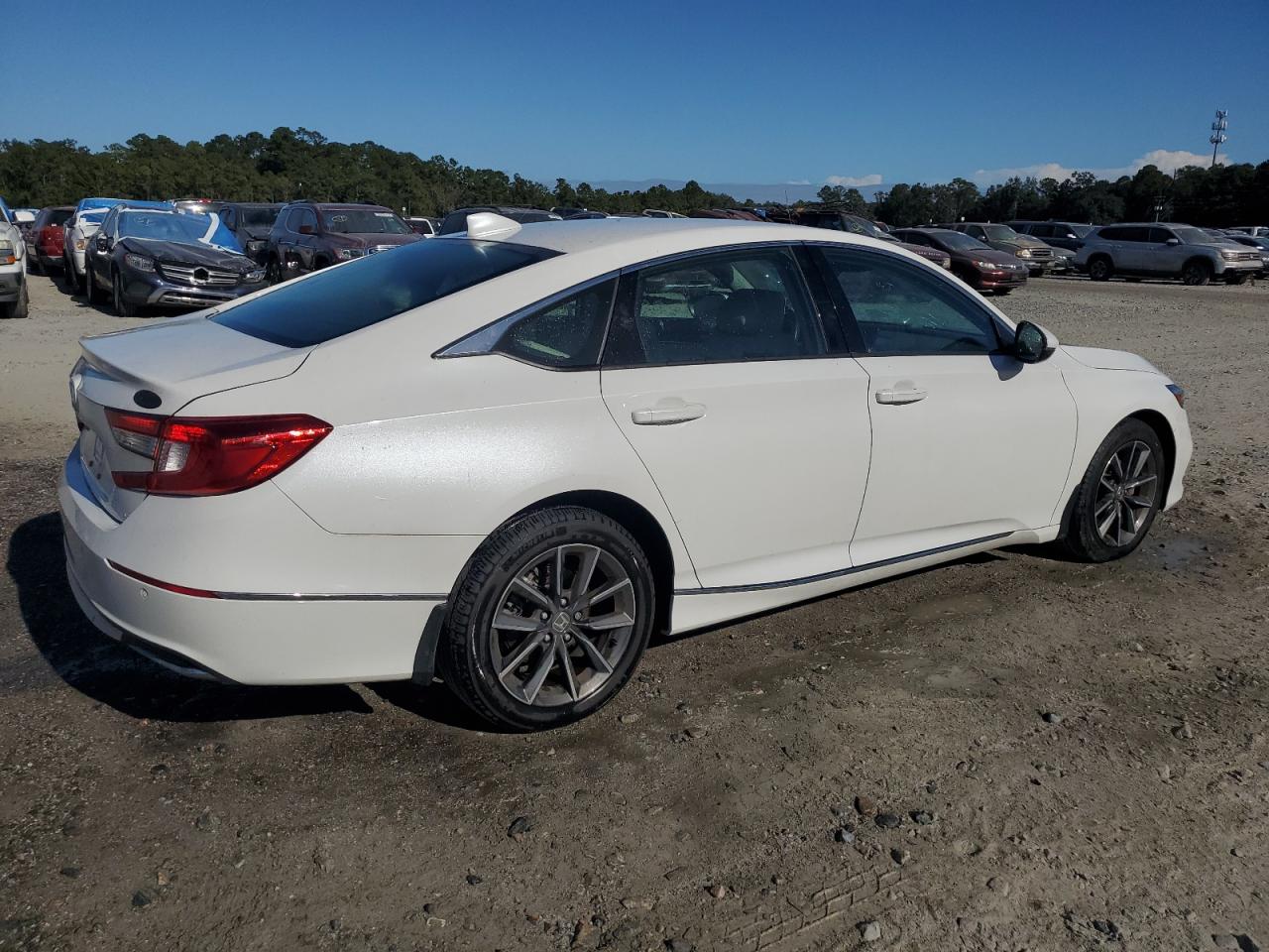 Lot #2988804642 2020 HONDA ACCORD EXL