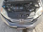 HONDA CR-V EX photo