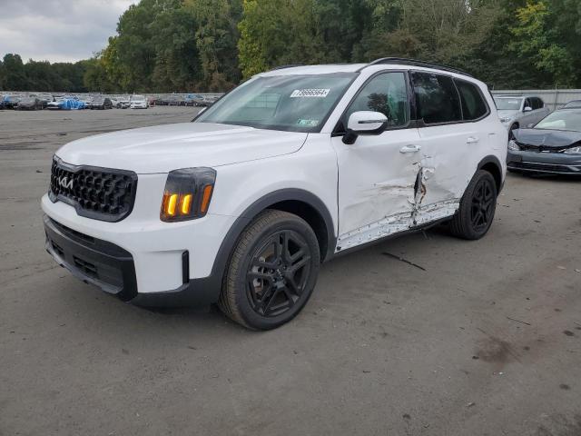 2024 KIA TELLURIDE #2945101694