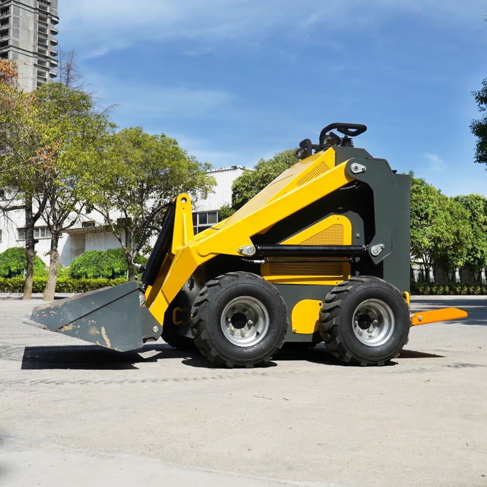 Other SKID STEER 2024 