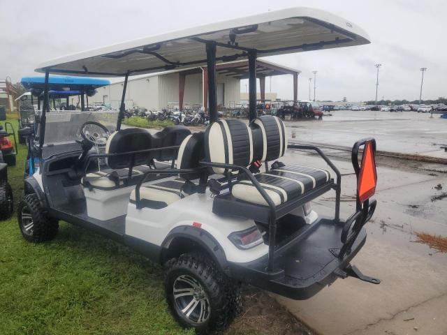 ICON GOLF CART 2020 white   FLA110839 photo #4