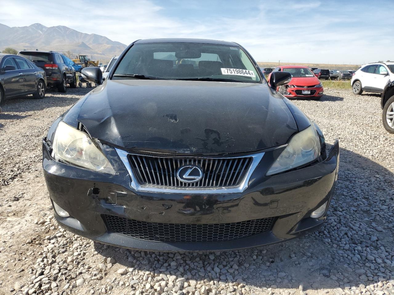 Lot #2955584747 2010 LEXUS IS 250