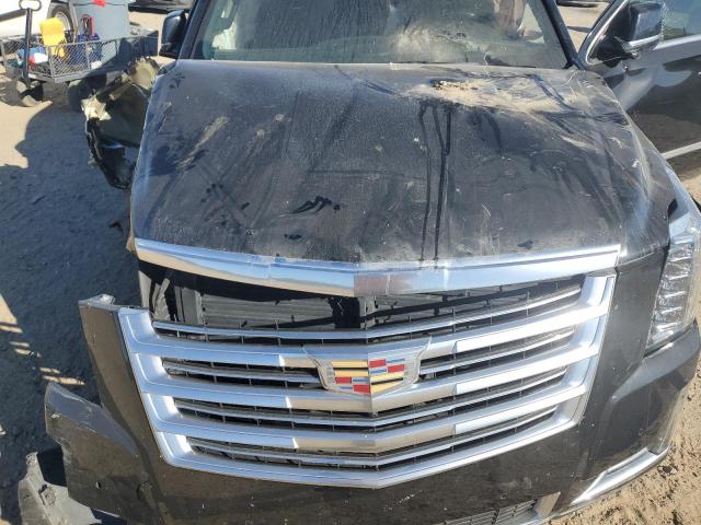 2019 CADILLAC ESCALADE P - 1GYS4DKJ0KR257811