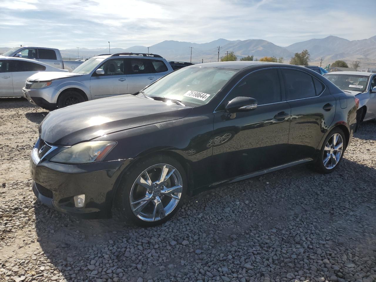 Lot #2955584747 2010 LEXUS IS 250