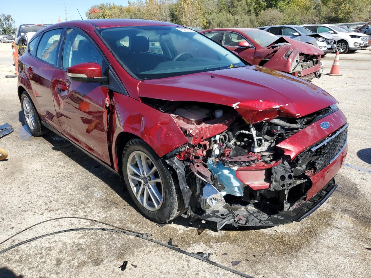 Lot #2921518765 2017 FORD FOCUS SE