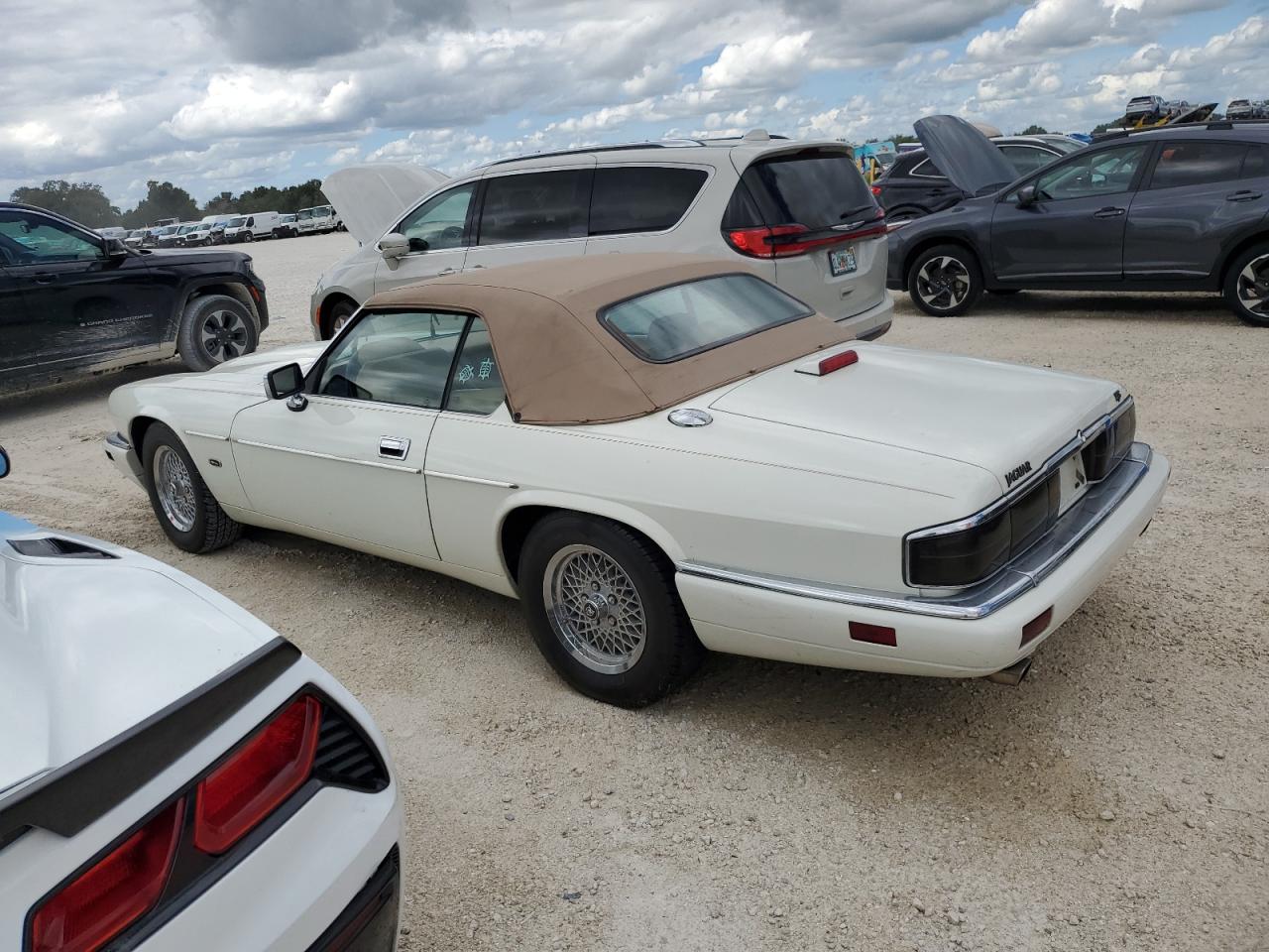 Lot #3046975104 1994 JAGUAR XJS 2+2