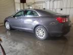 Lot #2960106168 2013 CHEVROLET MALIBU 1LT