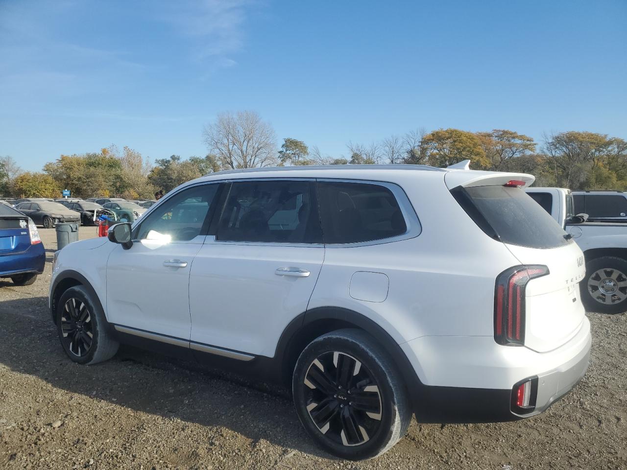 Lot #2996372382 2023 KIA TELLURIDE