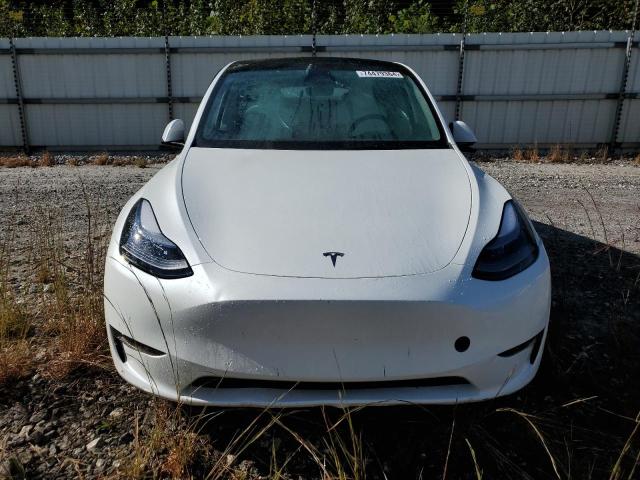 2024 TESLA MODEL Y - 7SAYGDEE7RF993704