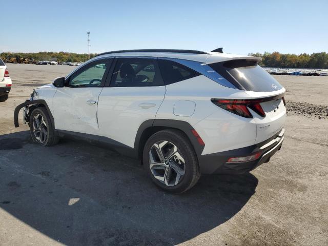 2024 HYUNDAI TUCSON SEL - 5NMJBCDE1RH428498