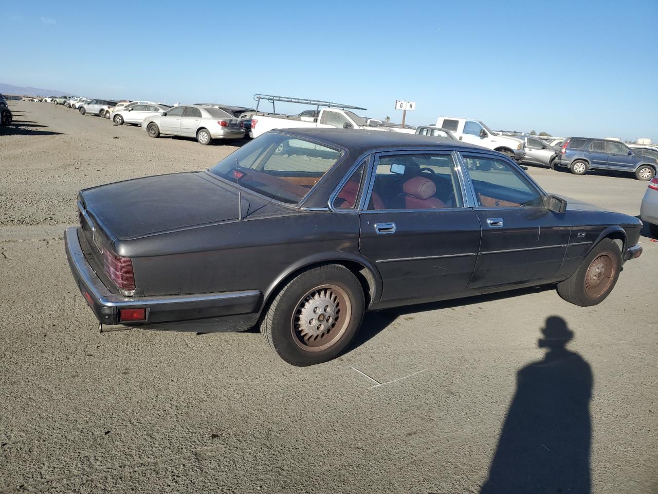 Lot #2921734568 1988 JAGUAR XJ6