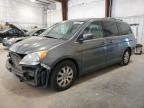 HONDA ODYSSEY EX photo