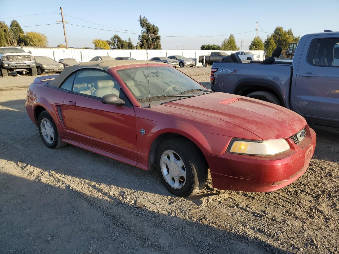 Lot #2948462923 1999 FORD MUSTANG