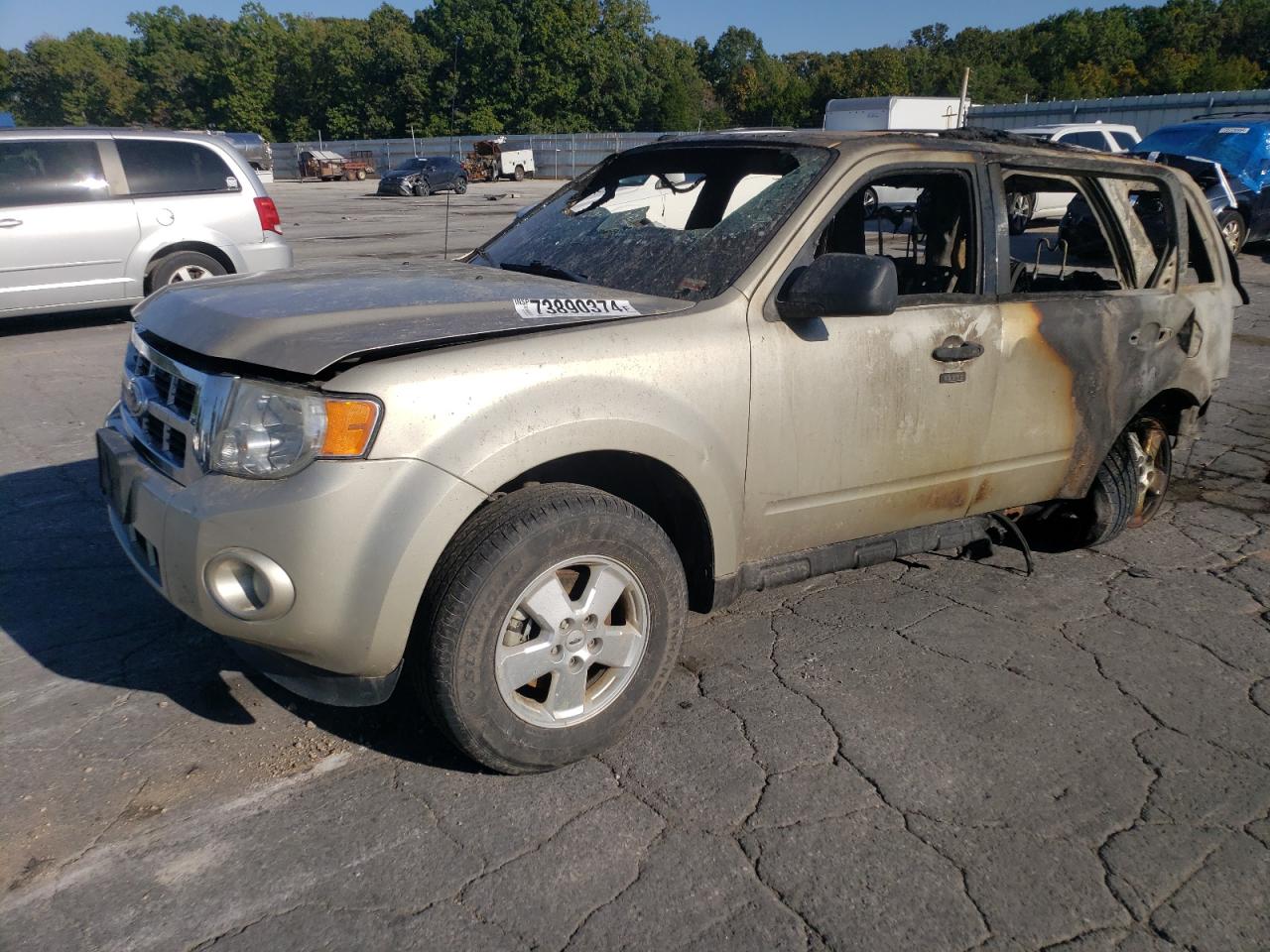 Lot #2972378499 2012 FORD ESCAPE XLT