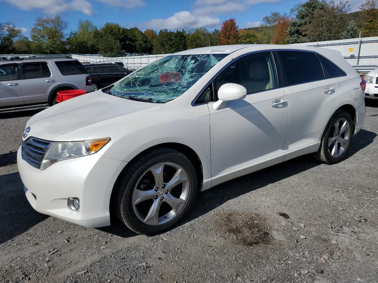 Toyota Venza 2010 Wagon Body Type