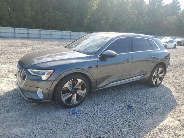 AUDI E-TRON CHR 2019 gray  electric WA1VAAGE1KB006711 photo #1